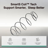 Novilla Twin Mattress, 6 Inch Twin Size Mattresses in a Box with Smarts™ Coil for Pressure Relief