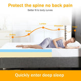 Full Size Mattress in a Box with Medium-Firm Memory Foam