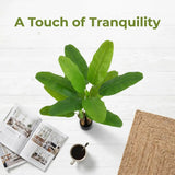 Kiko Artificial 2 Branch 11PCS +2BUD Banana Tree in Plastic Pot Fake Floor Plant Greenery Potted Plants for