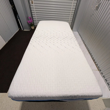 Nectar Classic 12” Hybrid – Like New | Chicago Pickup / Local Delivery