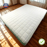 PlushBeds Botanical Bliss 10” Organic Latex – Like New | Chicago Pickup / Delivery
