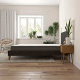 Twin mattress on platform bed in bright bedroom with plants, memory foam, and edge support